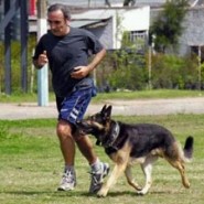 Ventajas y recomendaciones para trotar con nuestro perro