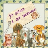 Como asegurar el bienestar de su mascota