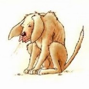 El resfriado y catarro en los perros