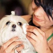La conjuntivitis canina aumenta con el verano