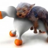Cuando llegan los perros a su madurez sexual