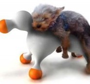 Cuando llegan los perros a su madurez sexual
