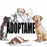 Estas preparado para adoptar una mascota