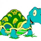 Como cuidar las tortugas en casa