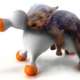 Disfunción eréctil también afecta a los perros