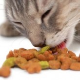 Comida casera orgánica para gatos, consejos para su preparación.
