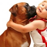 Mantenga seguros a los niños alrededor de las mascotas