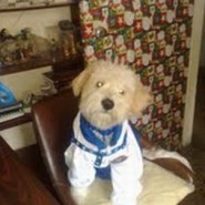 El Pequeño Bobby