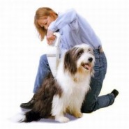 Causas de la pérdida de pelo en los perros