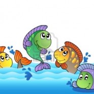 Cuales son las mejores especies de peces para tener en casa