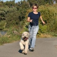 Como ejercitar a un perro diabético