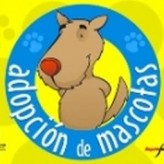 Queremos ser adoptados 2