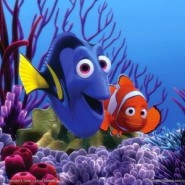 Cómo cuidar a nuestros peces