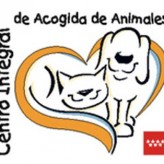 Queremos ser adoptados 6