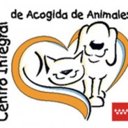Queremos ser adoptados 6