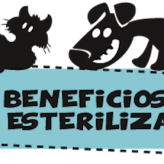Beneficios de la esterilización de Mascotas