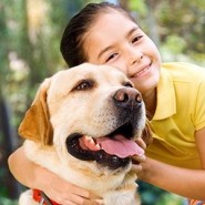 Cómo debes socializar tu Mascota
