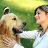 Consejos para el cepillado de tu perro