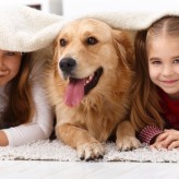Mejores razas de Perros para Niños