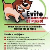 Prevenir las mordeduras de perro