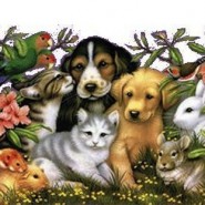 Tener mascotas en casa