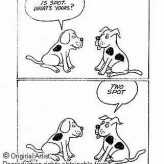 Ideas para nombres de perros