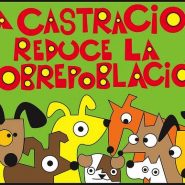Ventajas de castrar a tu Perro