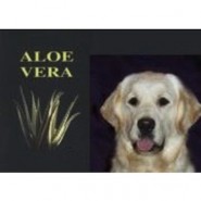Aloe Vera para perros