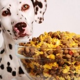 Comida casera para Perros