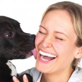 Comportamientos de los Perros