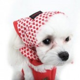 Moda para perras Caniches