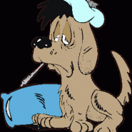 Enfermedades urinarias en perros