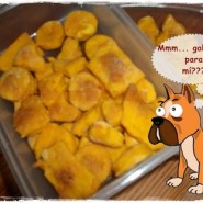 Ricas galletas para perros