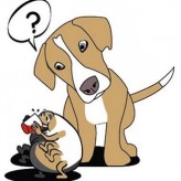 Perros con garrapatas