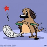 Urgencias con mascotas