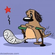 Urgencias con mascotas