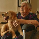 Los Perros de Terapia