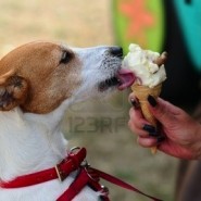 Alimentos para mascotas