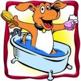 Higiene y de la Piel y manto de nuestro Perro