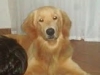 betho2