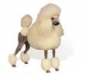 french-poodle-1 french-poodle-1