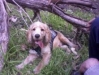 ulises3