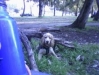 ulises4