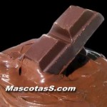 el chocolate también es maol para los loros
