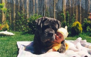 bebe perro 1