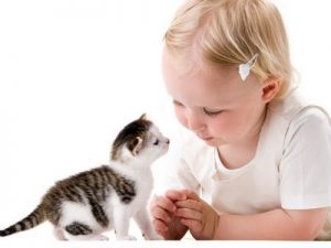 bebe_gato_y_bebe_humano