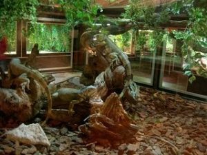 terrario2