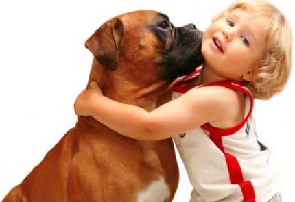 cuidado de niños con mascotas
