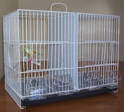 Productos para limpiar una jaula de pájaros