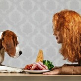 Las Proteínas en la alimentación de los perros
